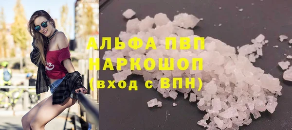 индика Белоозёрский