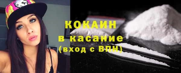 соль ск Богородицк