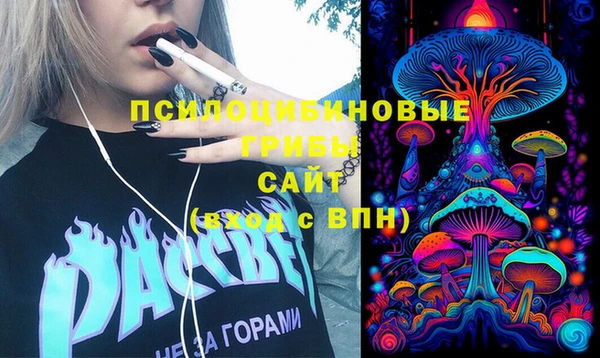 скорость Богданович