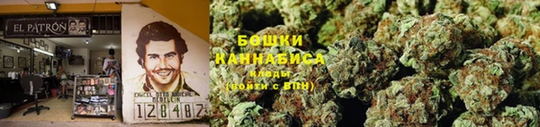 индика Белоозёрский