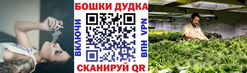 Каннабис ГИДРОПОН Буинск